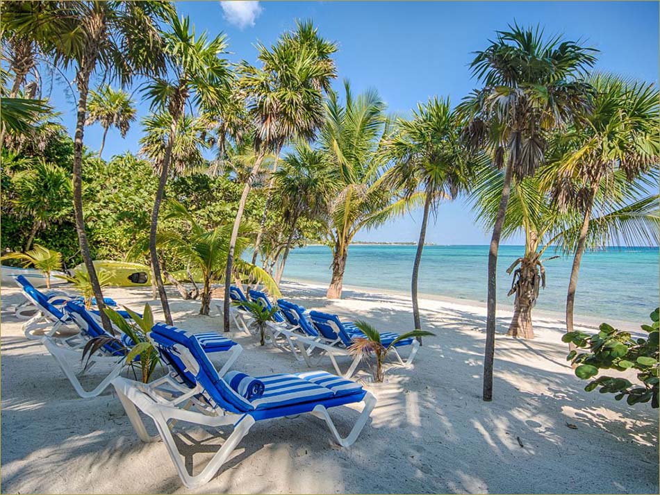 Steps to the beach lounges.